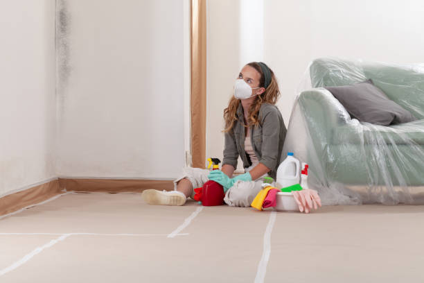 Reliable Commercial Mold Remediation contractor in Ho-Ho-Kus, NJ by WQB Mold Removal